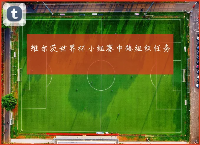 维尔茨世界杯小组赛中路组织任务