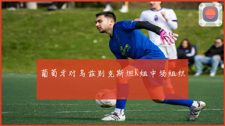 葡萄牙对乌兹别克斯坦K组中场组织