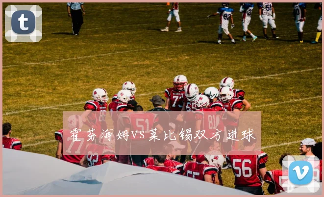 霍芬海姆vs莱比锡双方进球