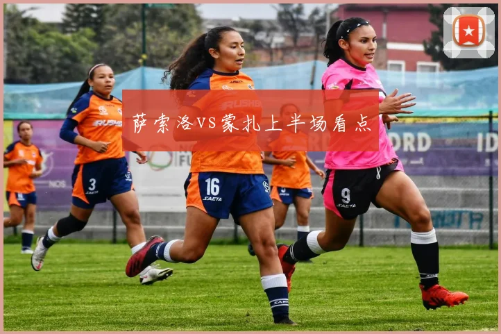 萨索洛vs蒙扎上半场看点